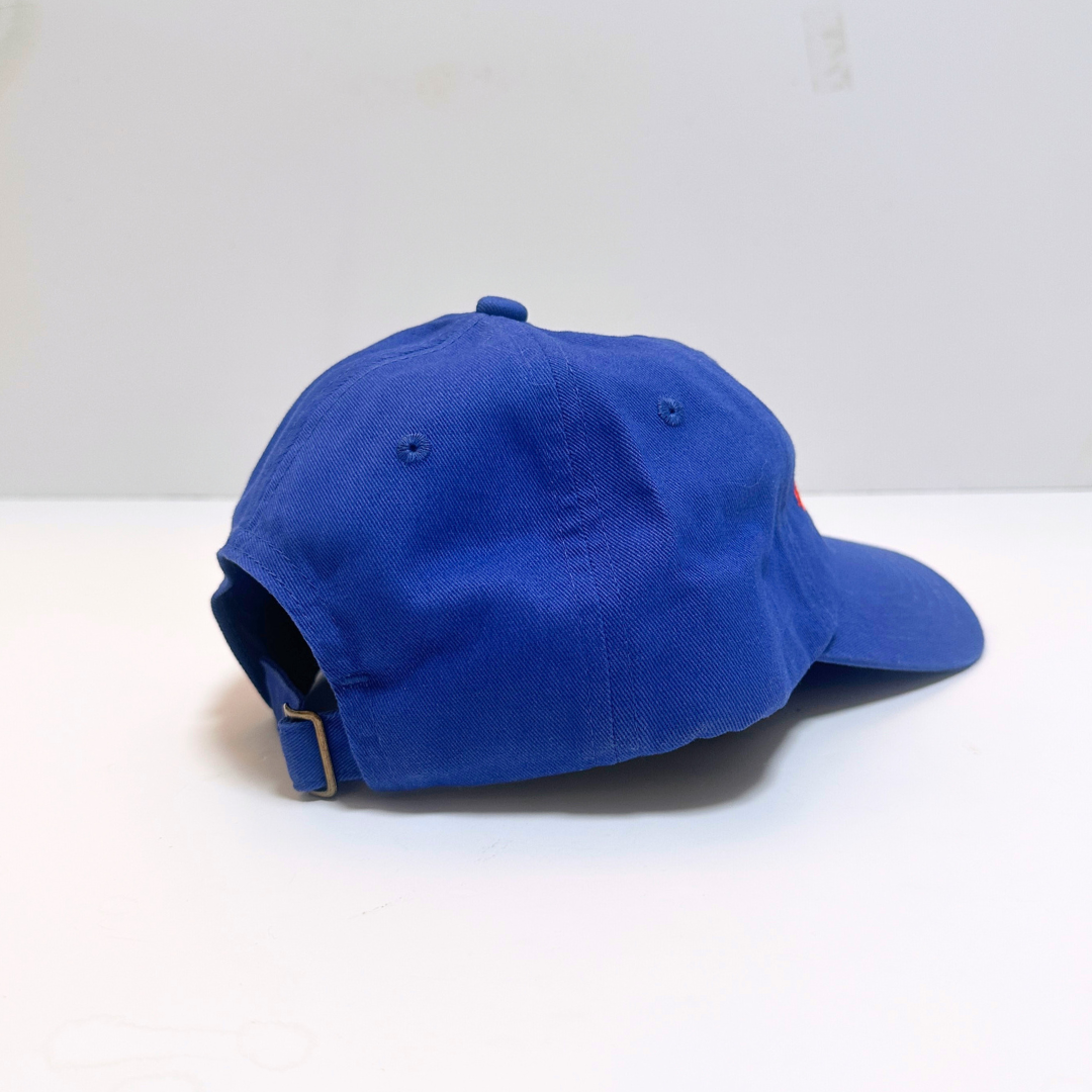 FEELINGS DAD HAT - YOUTH BLUE